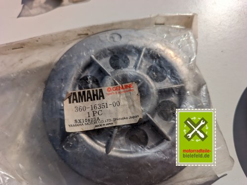 PXL_20240523_152300936
